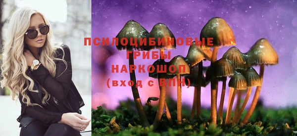 метадон Инсар
