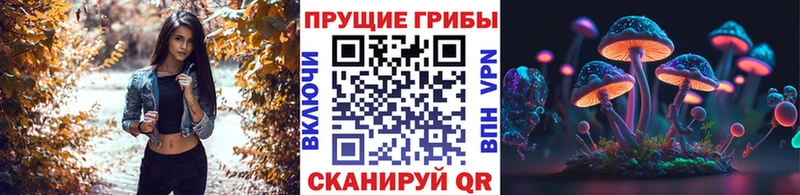 Галлюциногенные грибы MAGIC MUSHROOMS  Купить где  Верхоянск 